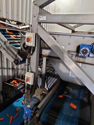 CARROT LINE AND GRADER SYSTEM