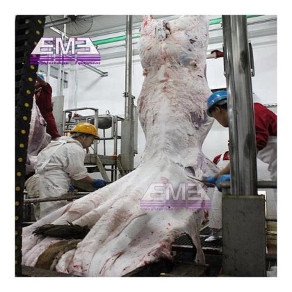 现代设计的清真牛屠宰场拌料生产线屠宰机械 牛肉屠宰场设备 奶牛屠宰机械