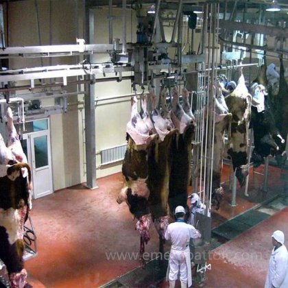 屠宰场机械 牛肉屠宰场设备 奶牛屠宰线 肉类加工生产线杀牛屠宰设备