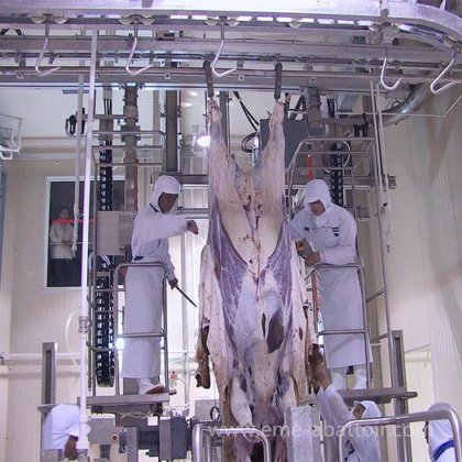 优质牛屠宰场设备 牛去皮机/拉皮机 牛屠宰设备的屠宰场机器