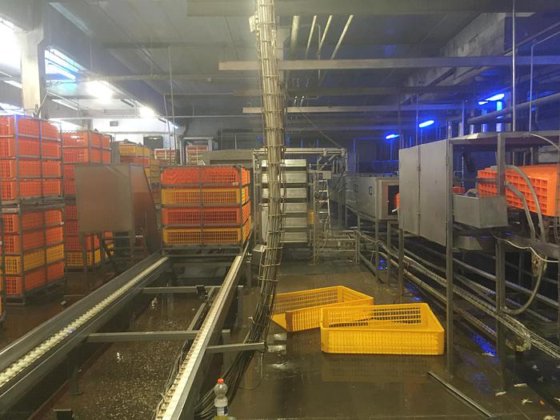 LINCO load live birds loading/unloading