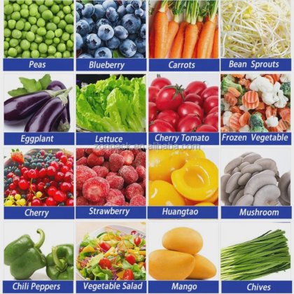 自动 10 14 斗多头秤、多头蔬菜组合秤