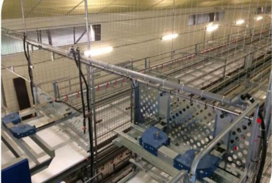 蛋鸡笼 鸡笼系统