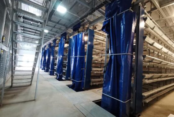 蛋鸡笼 鸡笼系统