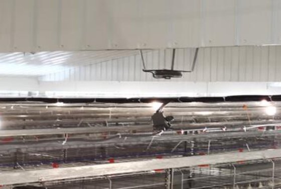 照明系统 照明系统