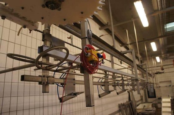 グレーディングライン、リンコ