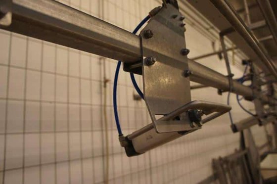 グレーディングライン、リンコ