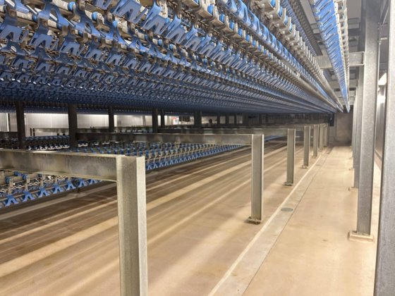 家禽ライン、コウノトリ、10,000 bph