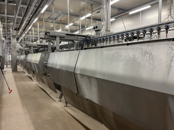 家禽ライン、コウノトリ、10,000 bph