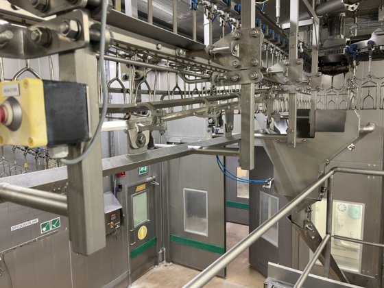 家禽ライン、コウノトリ、10,000 bph