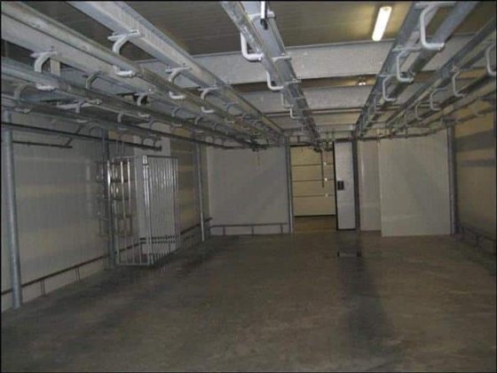 各种生猪屠宰生产线,15 至 200 头/小时,全新和二手