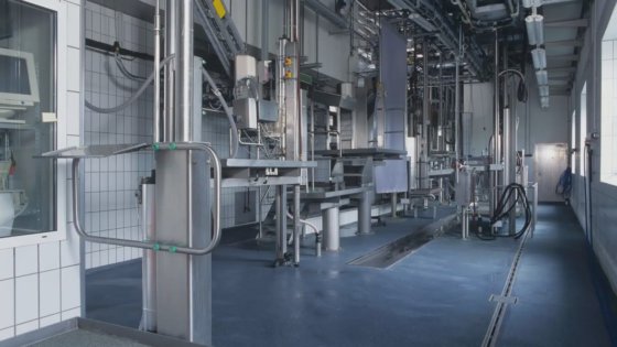 各种生猪屠宰生产线，15 至 200 头/小时，全新和二手