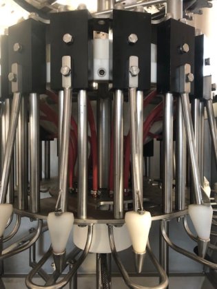 家禽用ライン、リンコ、6,000 bph