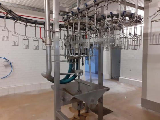 家禽屠殺ライン、3,000 bph