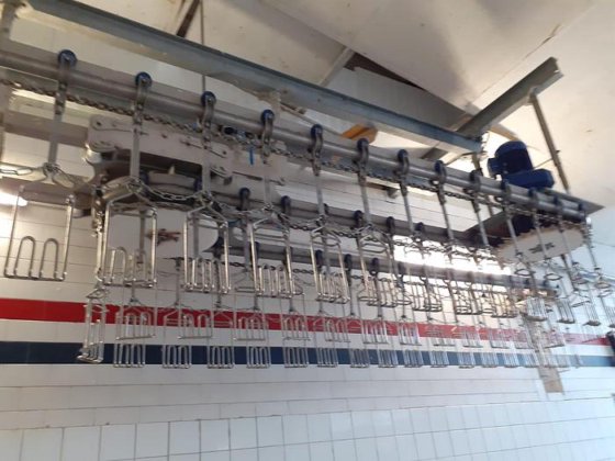 家禽屠殺ライン、3,000 bph