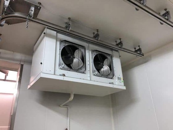 牛屠宰线，30 hph