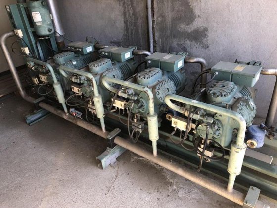 牛屠宰线，30 hph