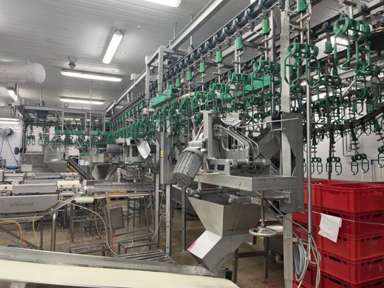 梅恩切割线，4,000 瓶/小时