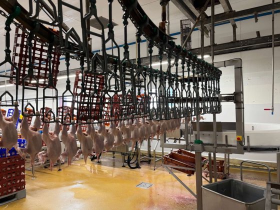 梅恩去膛线，8000 只/小时