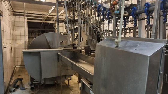 家禽屠殺ライン、2,500 bph