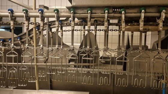 家禽屠宰线，2500 只/小时