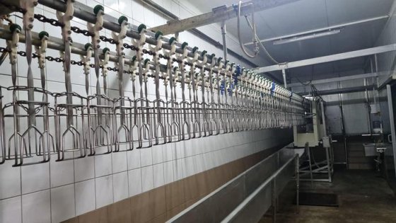 家禽屠殺ライン、2,500 bph