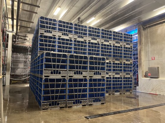 2015 活禽处理系统，Linco