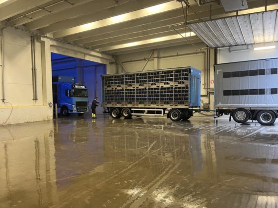 活禽处理系统，林科