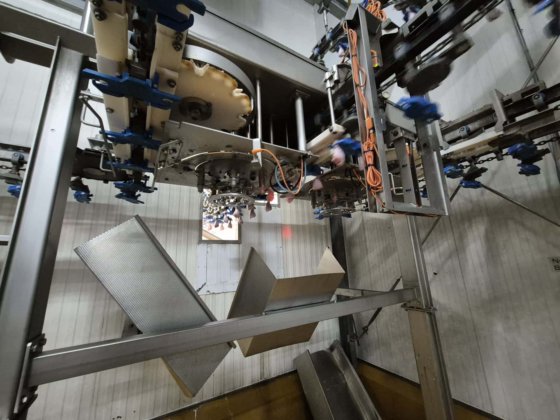 2013 骨抜きライン、マレル(2013)