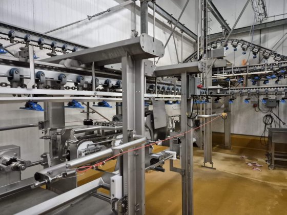 2013 年 Marel 去骨线 (2013