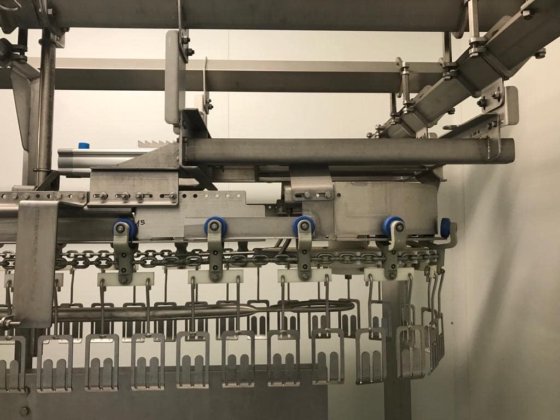 2019年産クエイルライン、ヴェルデリオ、1000 bph