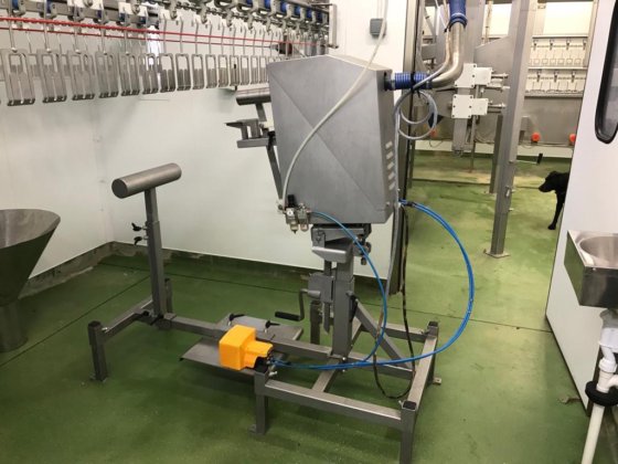 2019年産クエイルライン、ヴェルデリオ、1000 bph