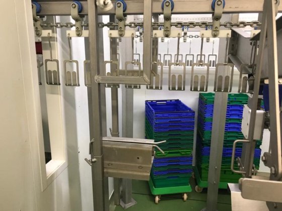 2019年産クエイルライン、ヴェルデリオ、1000 bph