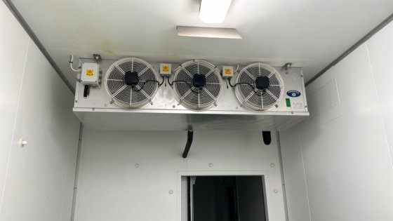 2019年産クエイルライン、ヴェルデリオ、1000 bph