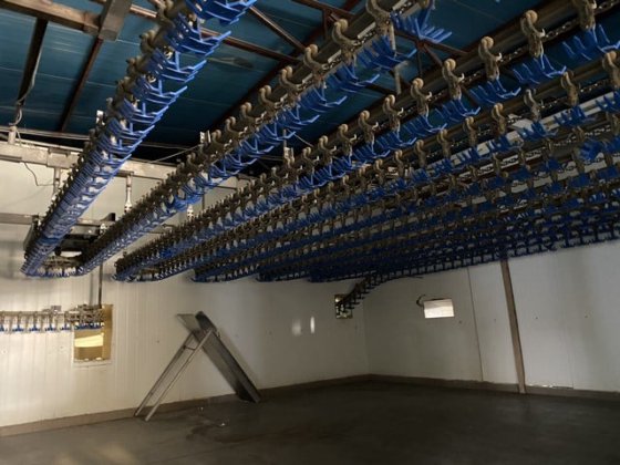 家禽屠殺ライン、2,000 bph