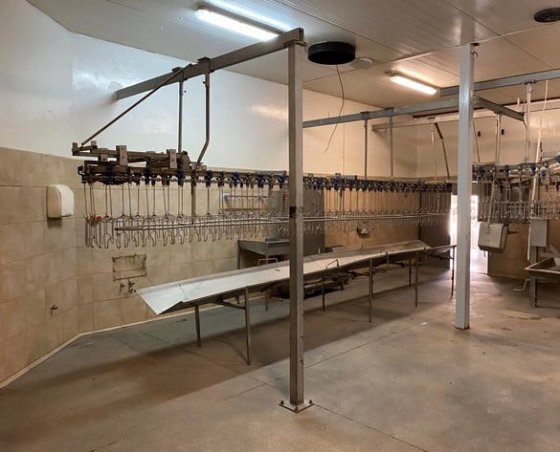 家禽屠殺ライン、2,000 bph