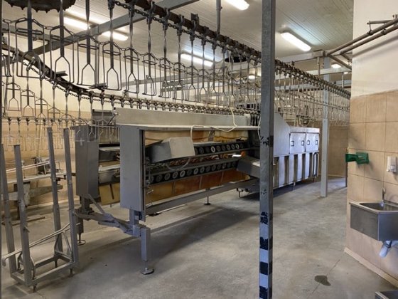 家禽屠殺ライン、2,000 bph