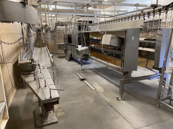 家禽屠宰线，2000 只/小时