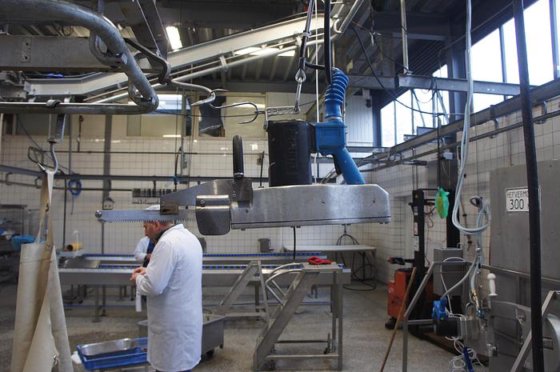 5～50 hphの各種牛屠殺ライン