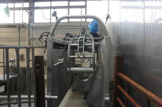 5～50 hphの各種牛屠殺ライン