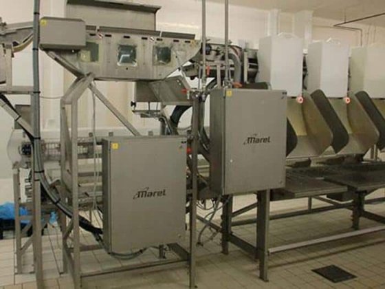 チェックビングレーダー、Marel