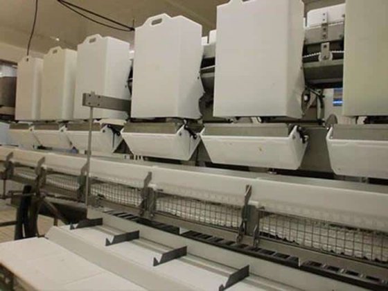 チェックビングレーダー、Marel