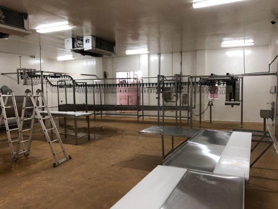 家禽屠殺ライン、1,000 bph