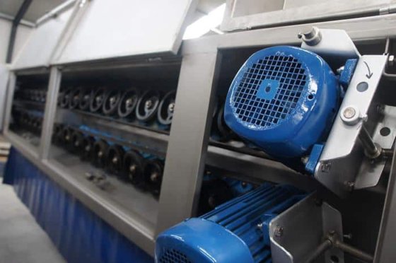 家禽屠宰线,Linco,3000 只/小时