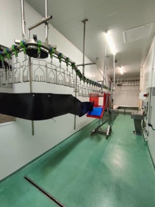 2017 年 Bayle 家禽生产线，产量 1,500