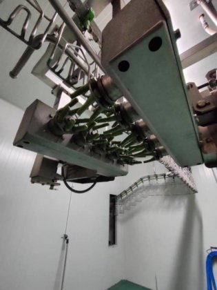 2017年 養鶏ライン、ベイル、1.500 bph