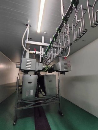 2017年 養鶏ライン、ベイル、1.500 bph