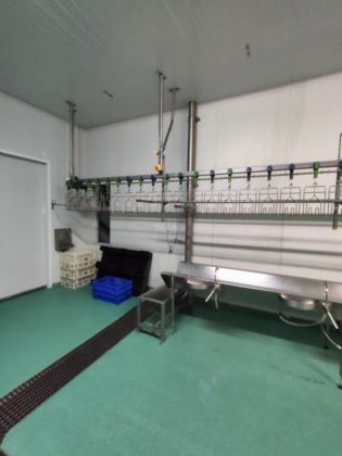 2017 年 Bayle 家禽生产线，产量 1,500