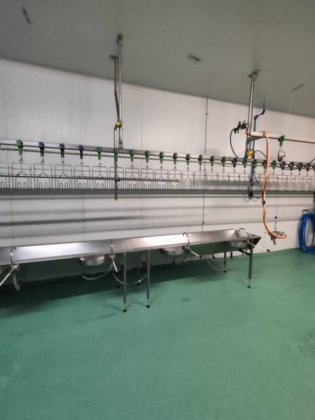 2017 年 Bayle 家禽生产线，产量 1,500