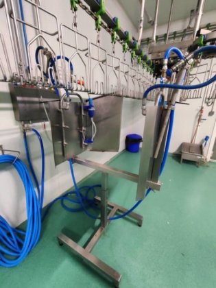 2017 年 Bayle 家禽生产线，产量 1,500